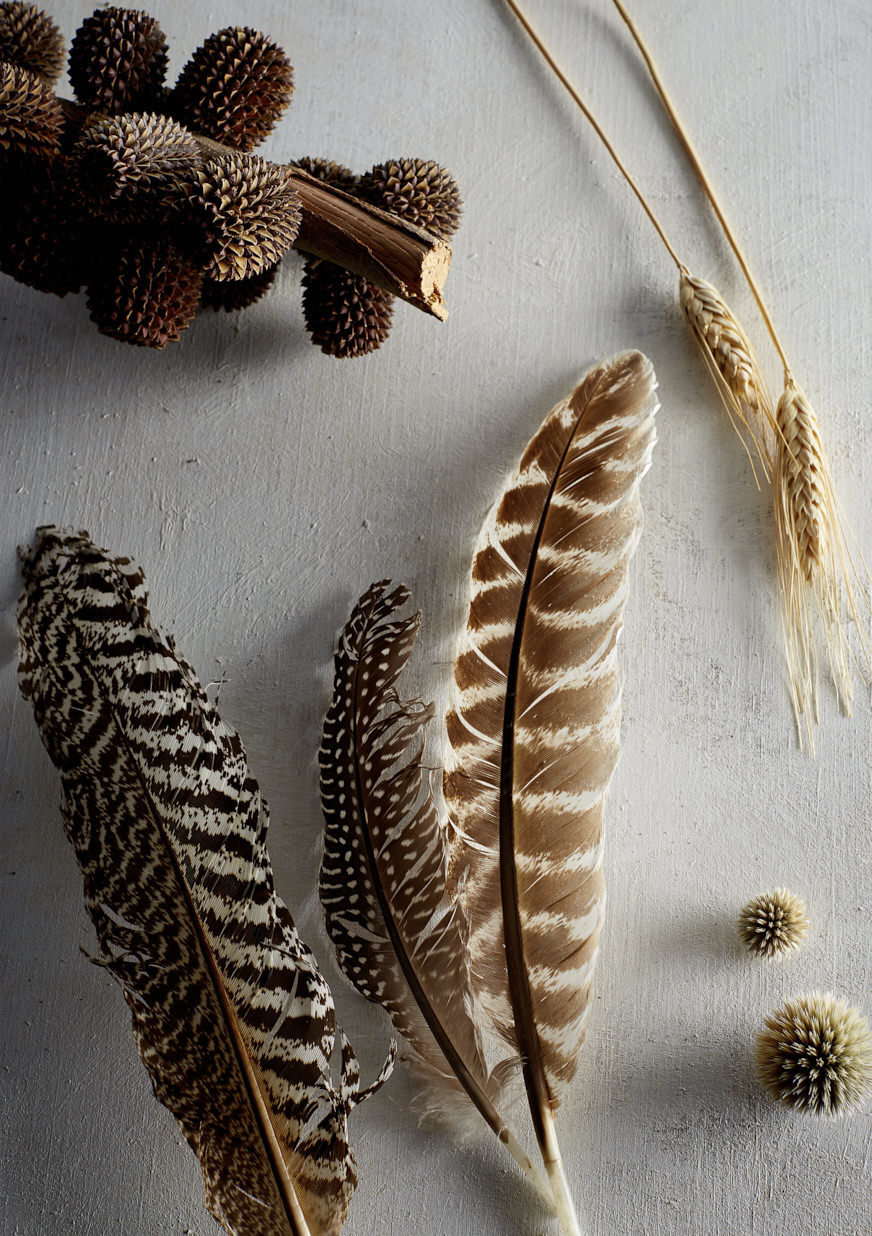 10 18 2014 STILL LIFE TEST 1817