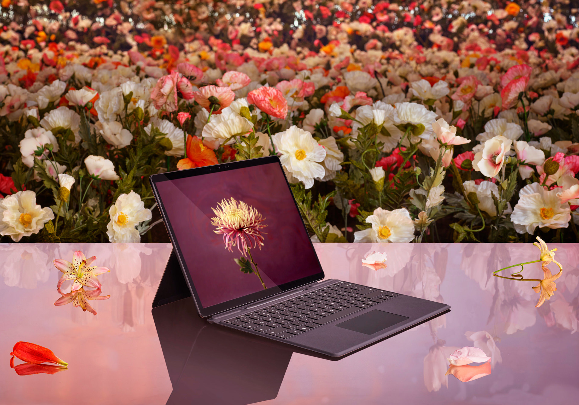 CAMPUS POPPY FIELD TABLE 34 PORT warm
