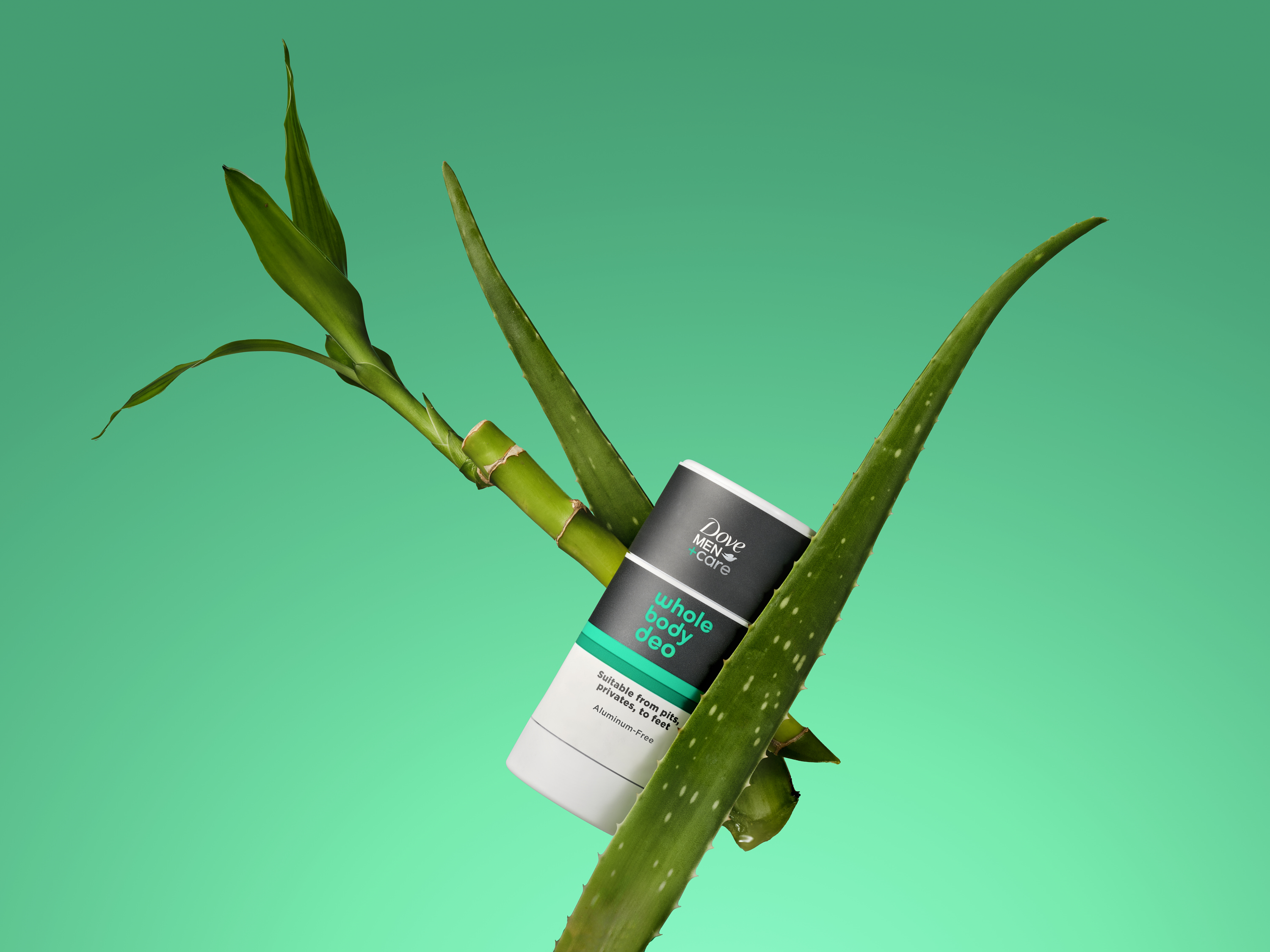 DOVE DEO INGREDIENTS ALOE