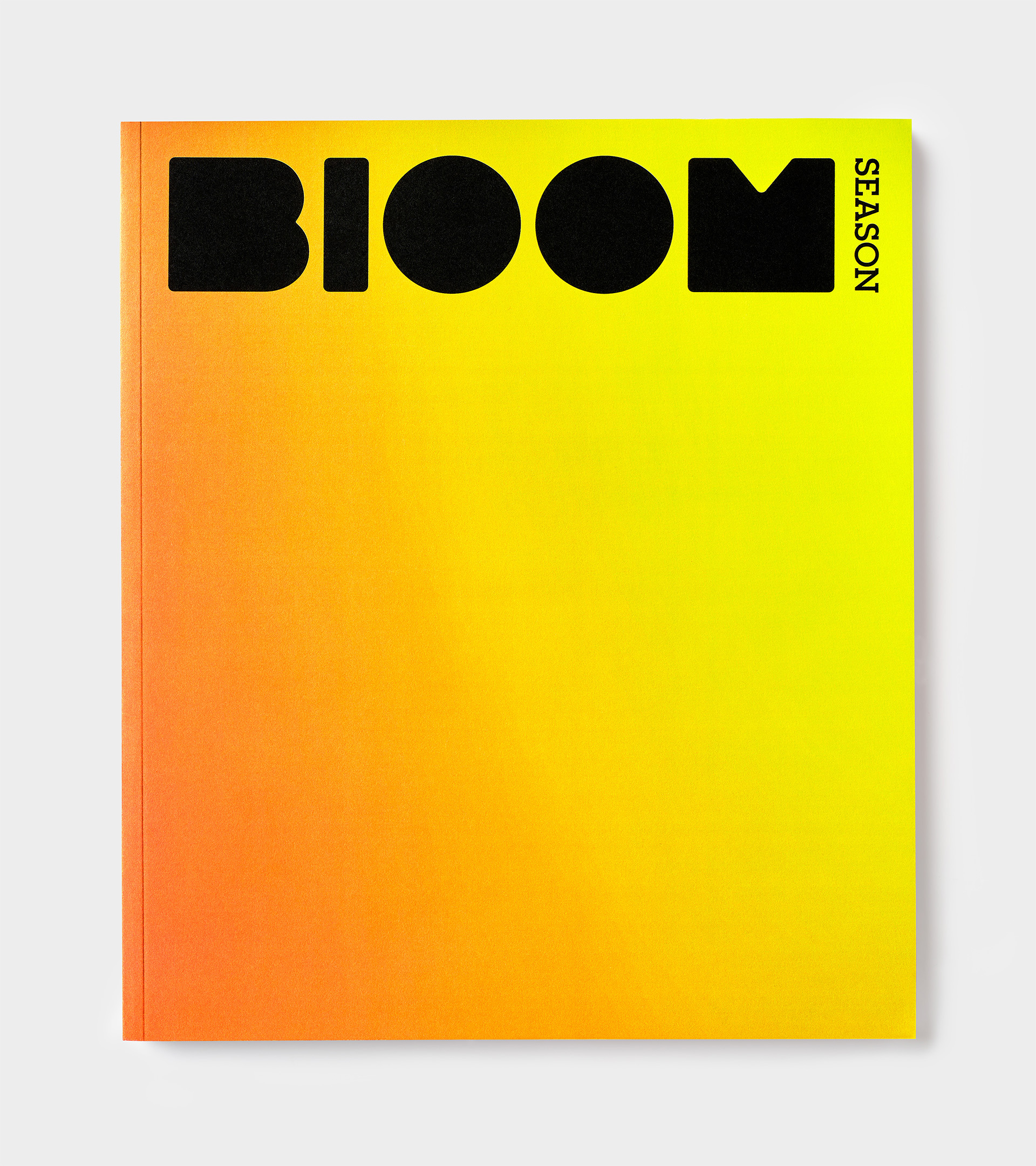 bloom 02b