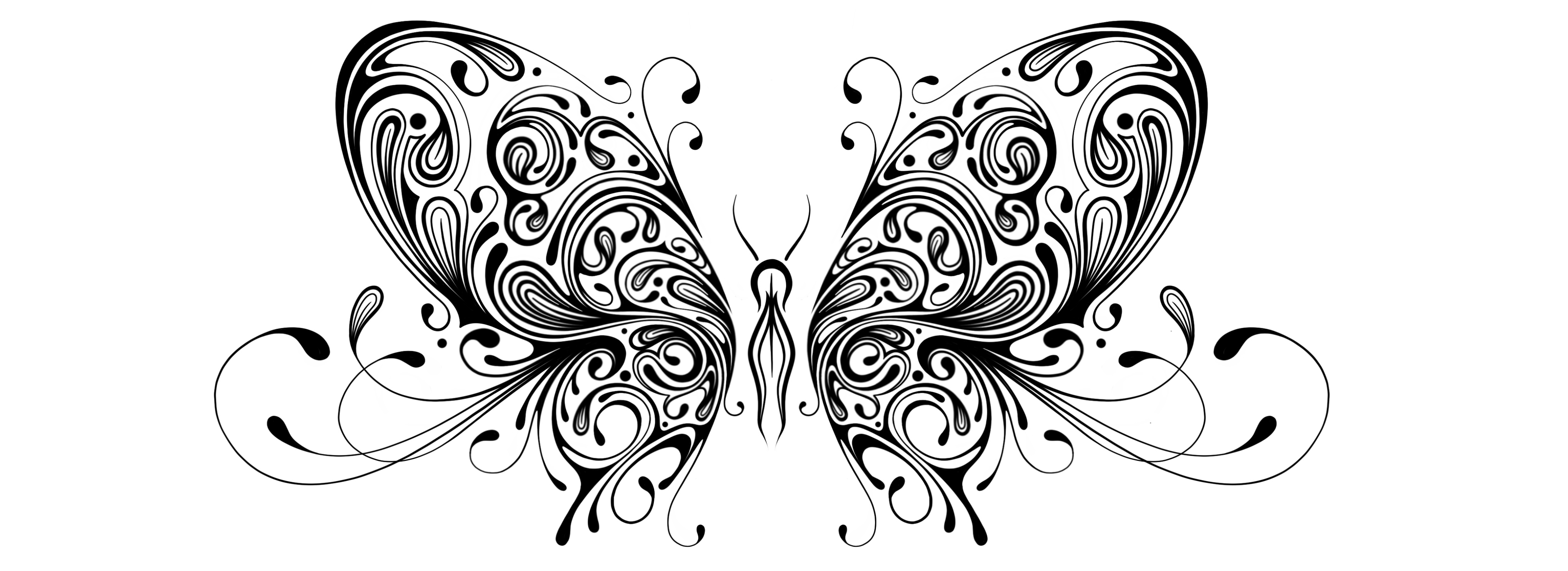 butterfly
