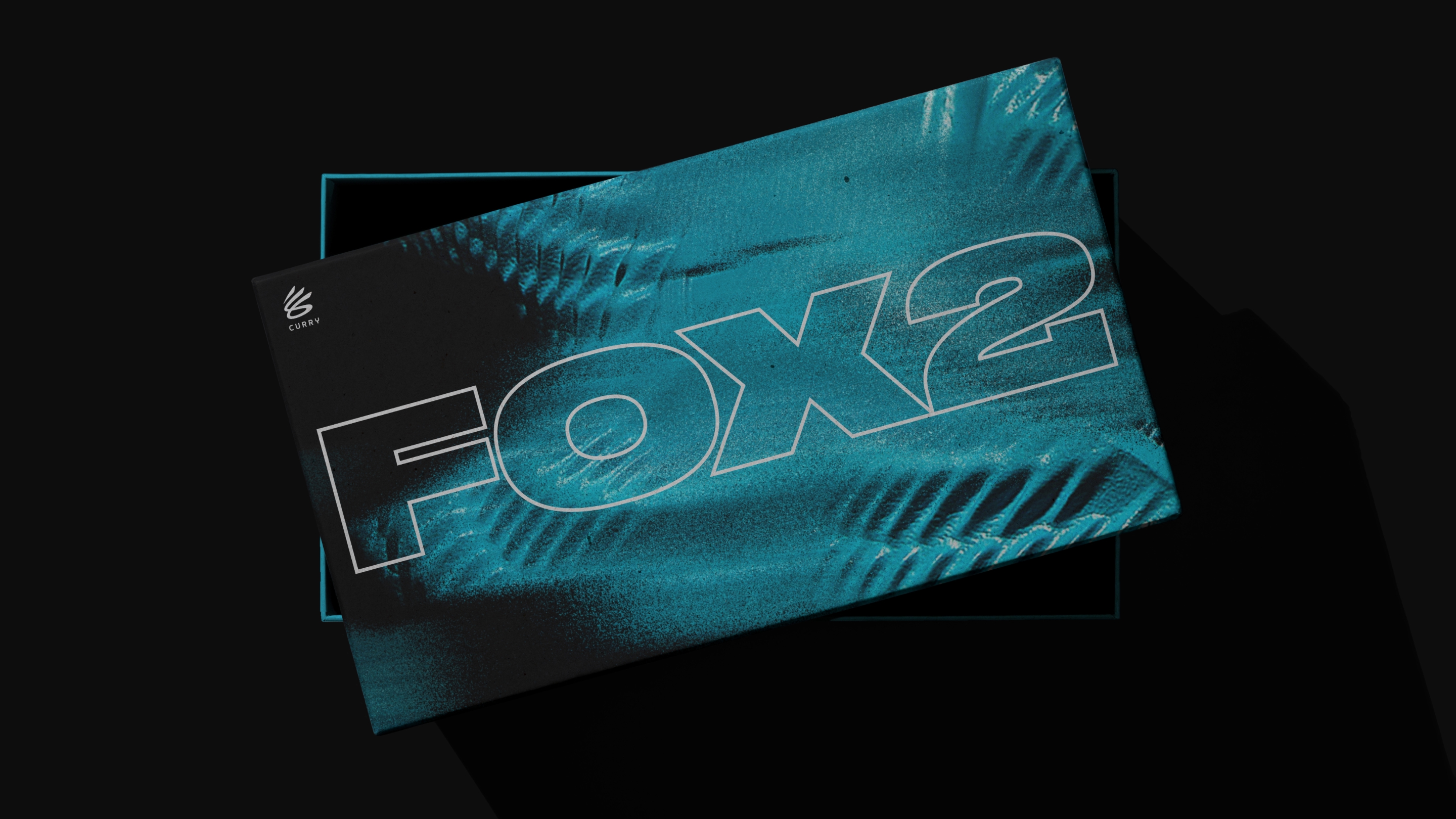 fox2 19