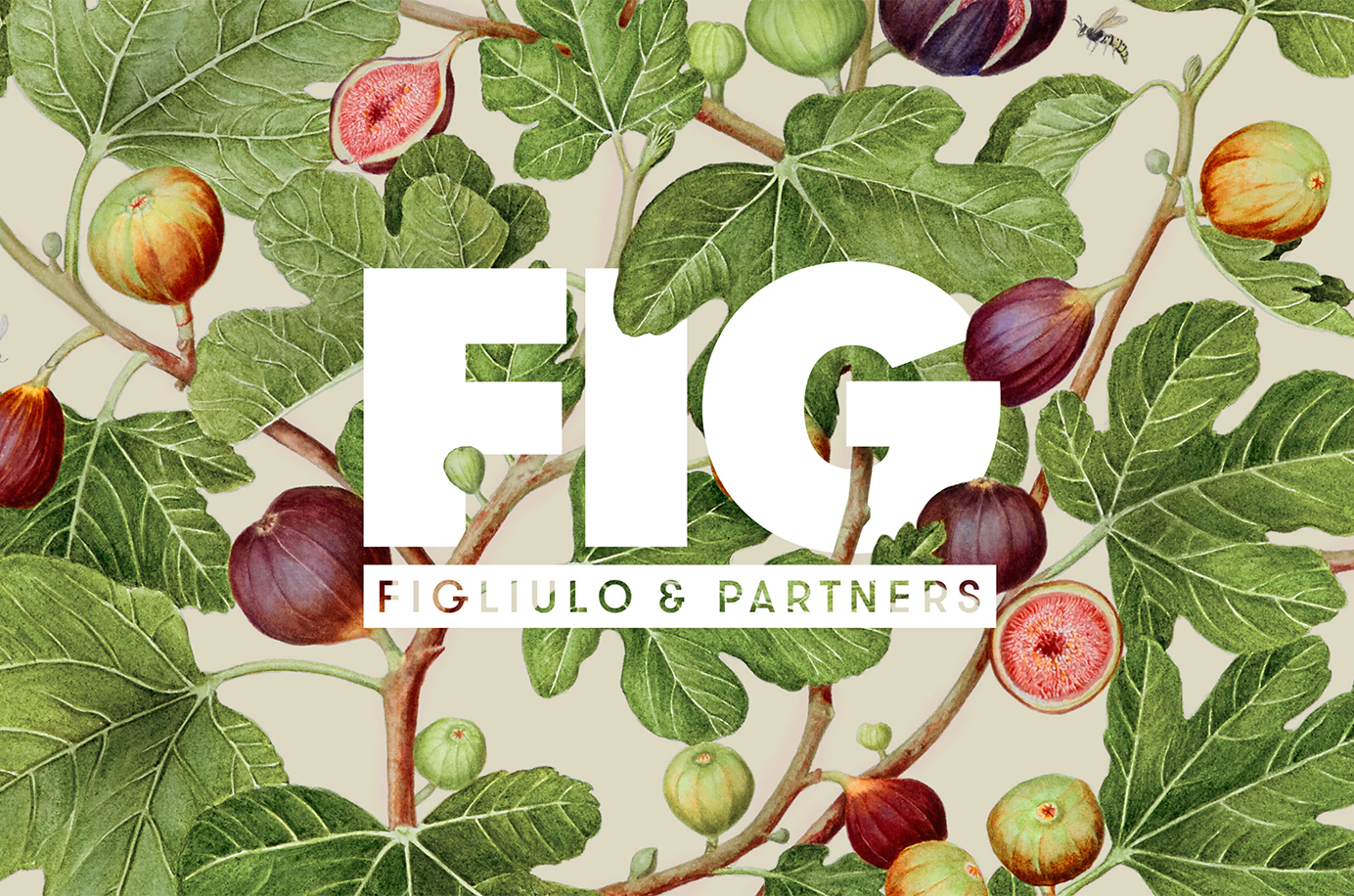 FIG HEADER